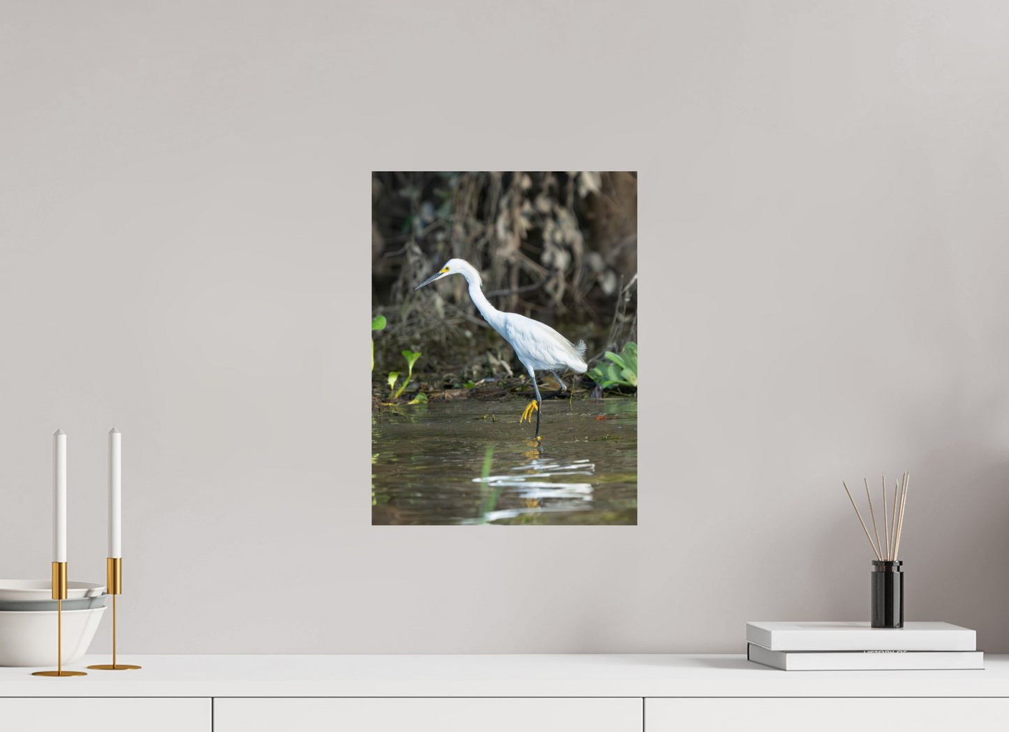 Snowy Egret