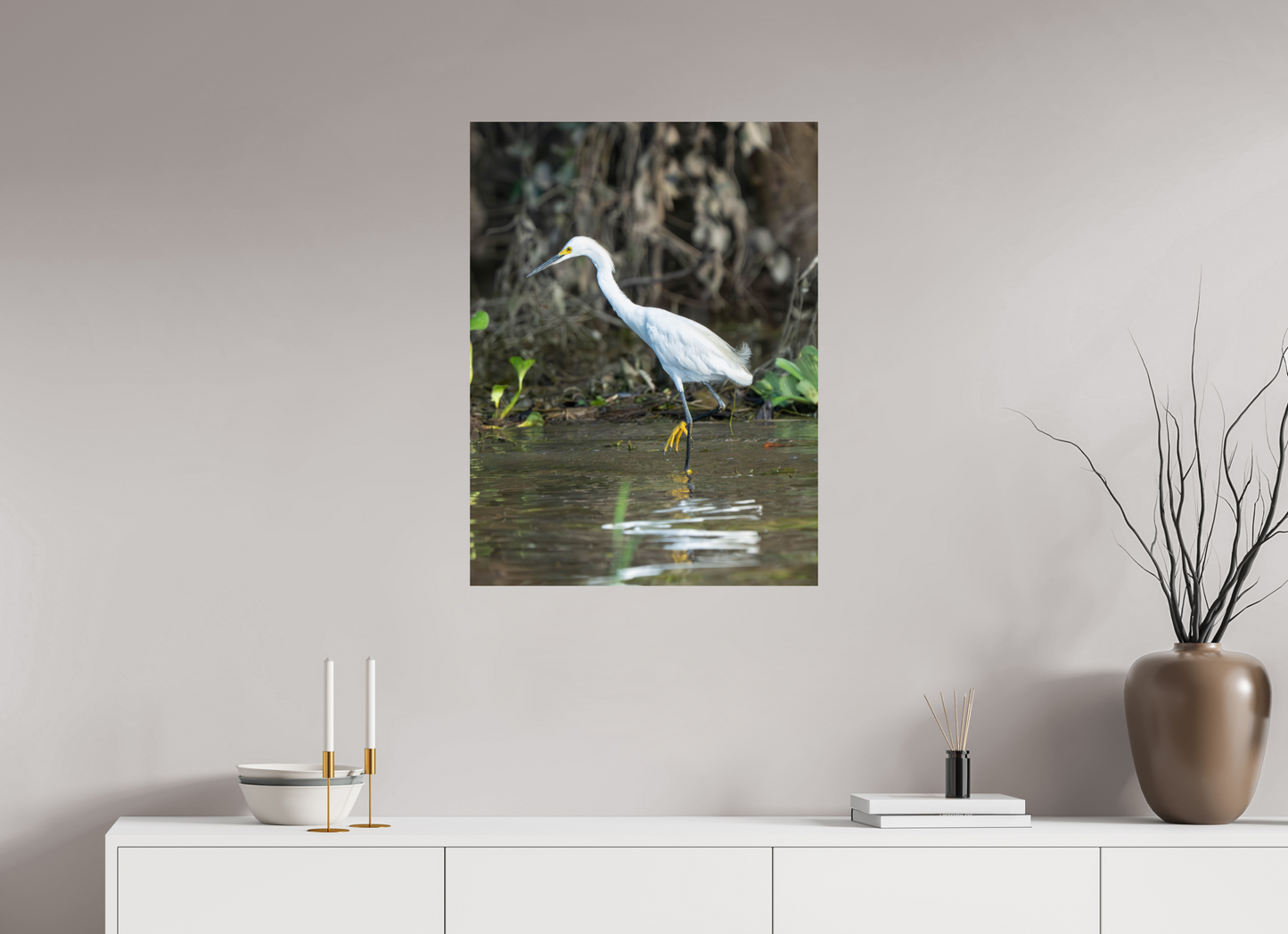 Snowy Egret
