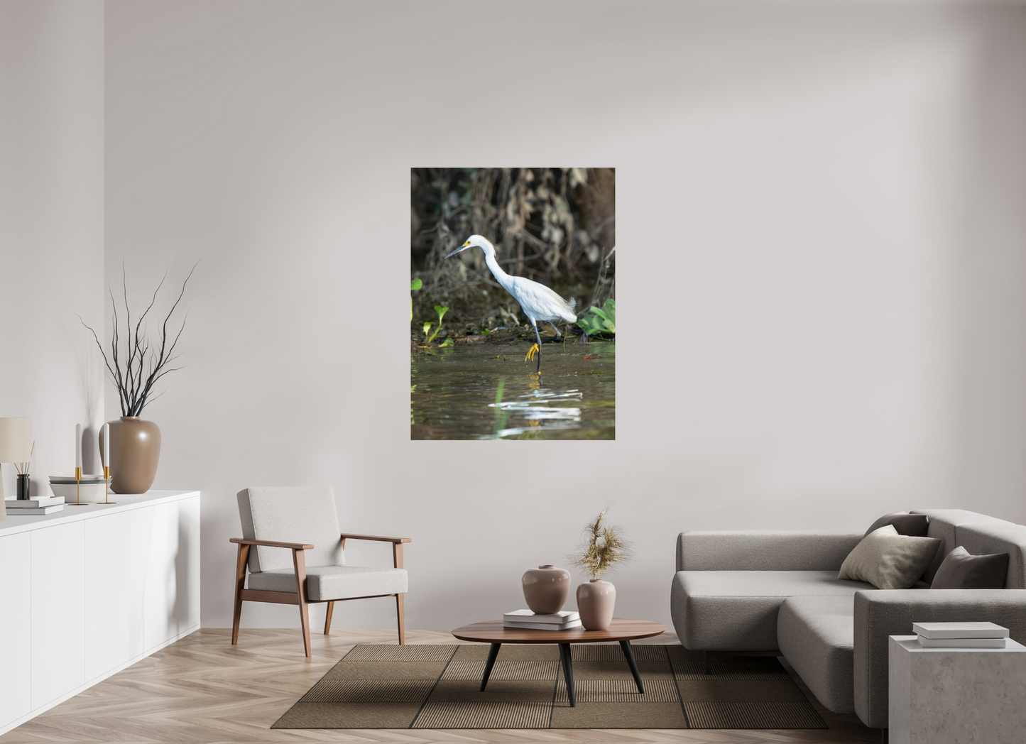 Snowy Egret