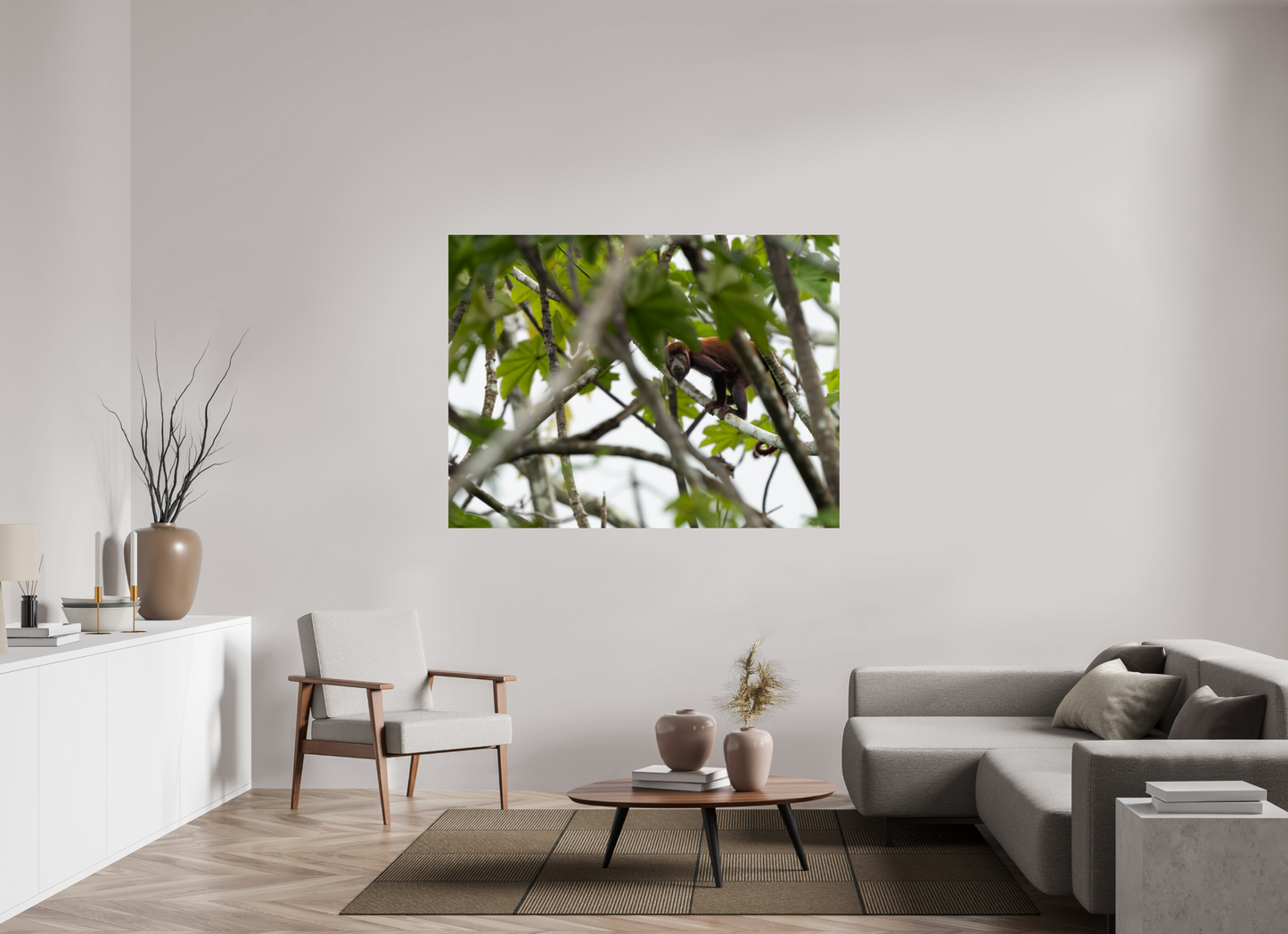 Red Howler Monkey