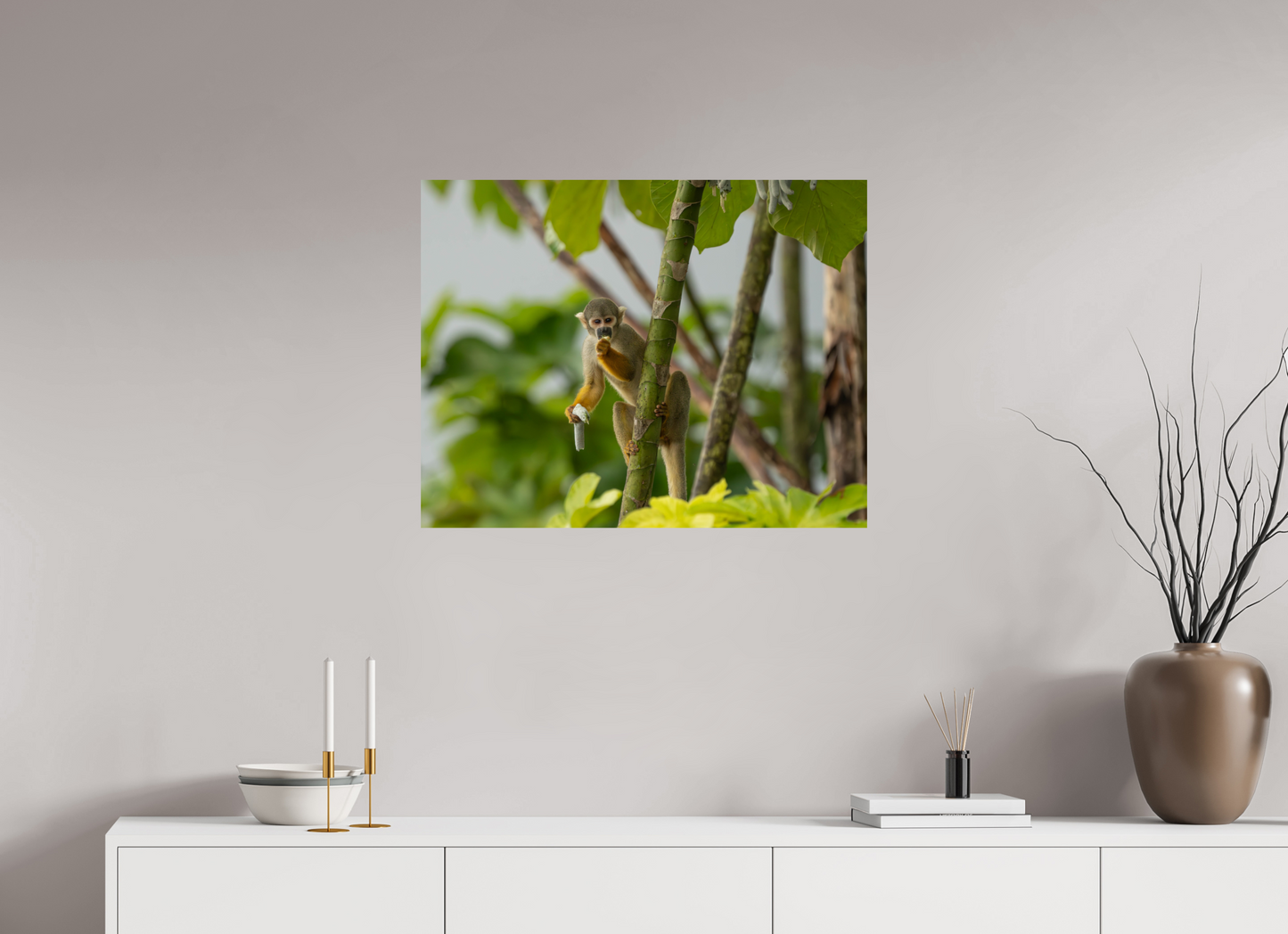 Amazonian Squirrel Monkey
