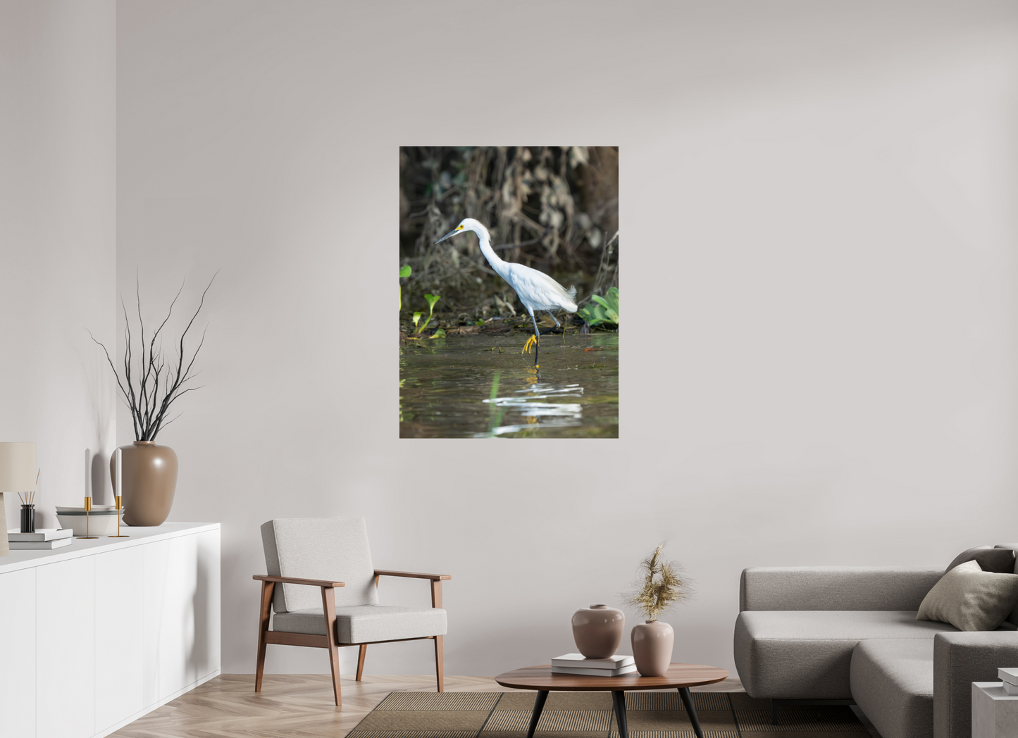 Snowy Egret