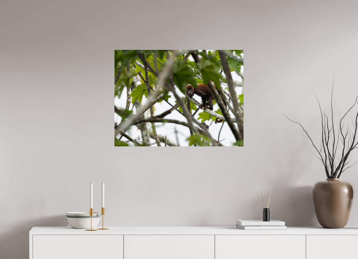 Red Howler Monkey